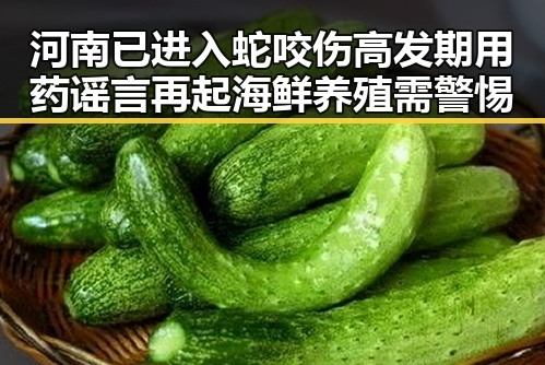 河南已进入蛇咬伤高发期用药谣言再起海鲜养殖需警惕