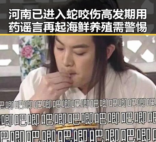 河南已进入蛇咬伤高发期用药谣言再起海鲜养殖需警惕