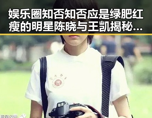 娱乐圈知否知否应是绿肥红瘦的明星陈晓与王凯揭秘幕后故事引发吃瓜热潮