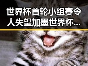 世界杯首轮小组赛令人失望加墨世界杯首轮表现引发热议网红黑料曝光
