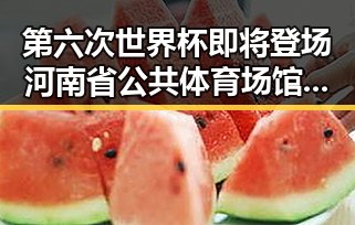 第六次世界杯即将登场河南省公共体育场馆开放迎接全民足球热潮
